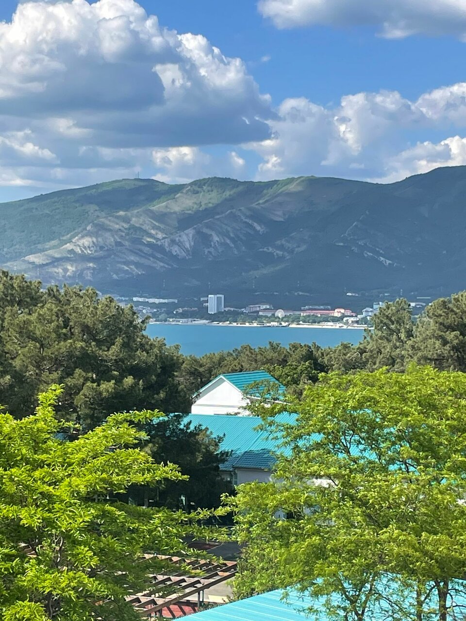 Отель Чайка Геленджик-24