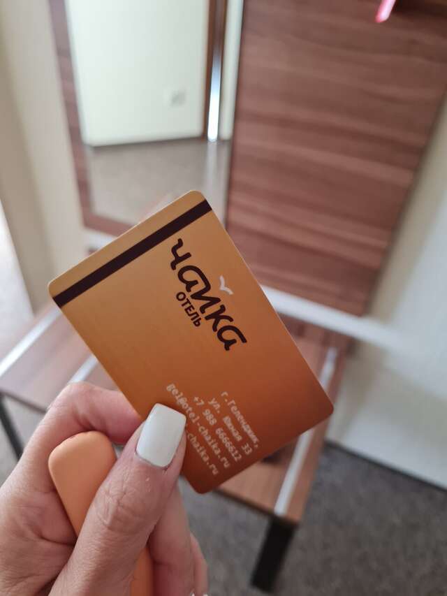 Отель Чайка Геленджик-63